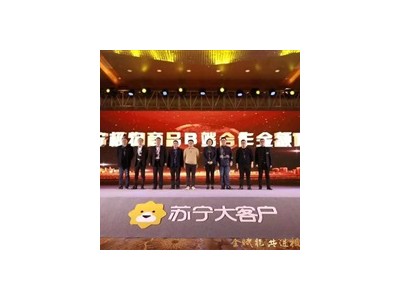 综合产品-苏宁易购集团股份有限公司图2