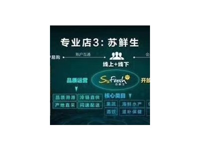 综合产品-苏宁易购集团股份有限公司图3