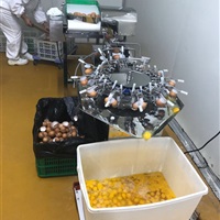 打蛋机、洗蛋机-廊坊市邦兴机械设备有限公司