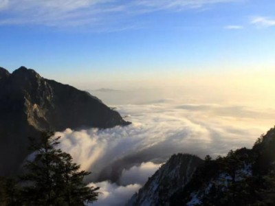 崇庆龙门贡茶-周记长春荣茶行图3