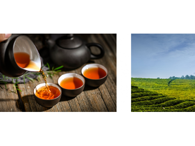 湘益茯茶图3