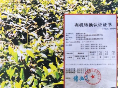 绿茶-洪雅县桂花茶厂图3
