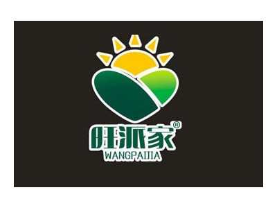 方便面、盖烧饭-河南旺派食品有限公司图3