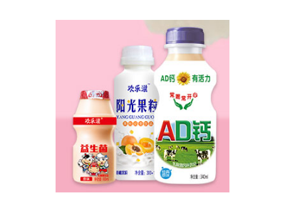 乳酸菌饮料-枣庄华高食品有限公司图2