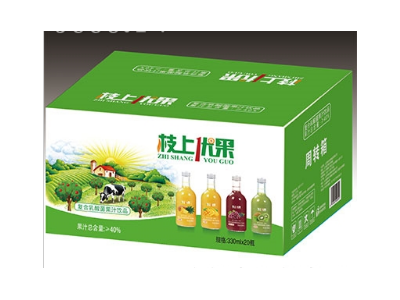 乳酸菌果汁饮品-山东致养生物制品有限公司图2