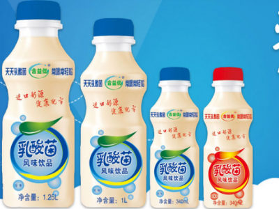 乳酸菌风味饮料-江苏合元食品有限公司图2