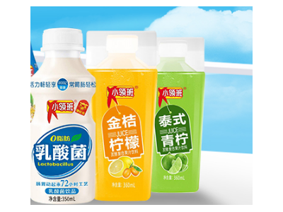 果汁饮料-领班食品（深圳）有限公司图2