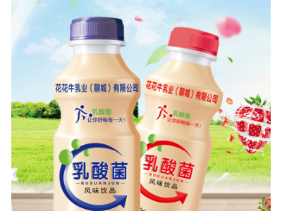 乳酸菌饮品-达利园（东光）饮品有限公司图2